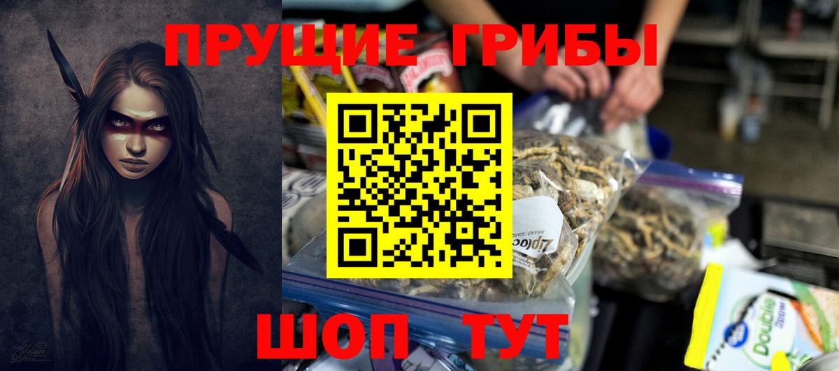 Галлюциногенные грибы Magic Shrooms  Галлюциногенные грибы Cubensis  Вход с VPN  Иваново 